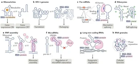 Nature figure of molecule teleology