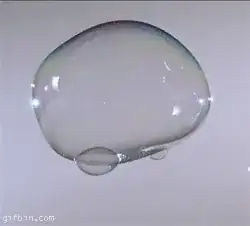 bubble burst