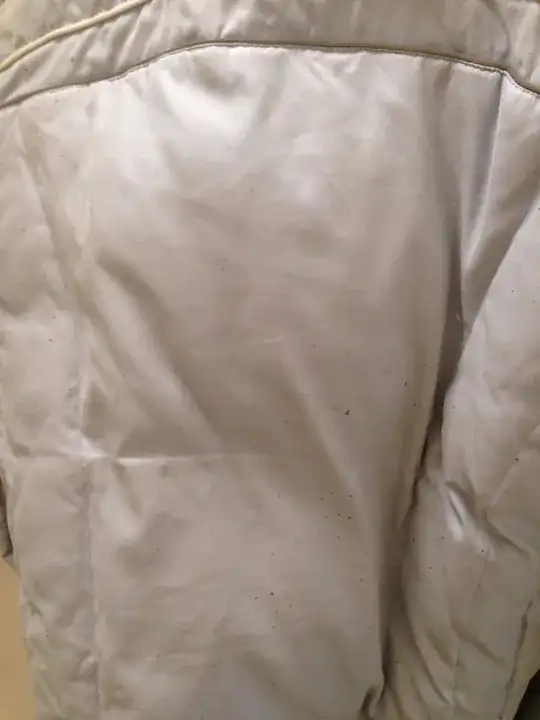 muddy water spots on back of coat