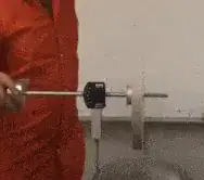 top showing nutation