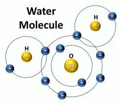 water molecule