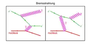 brehms