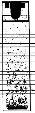 Here's an example of the final equilibrium distribution <span class=
