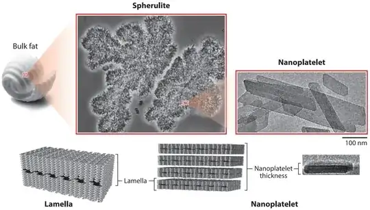 Structural levels present in a triacylglycerol (TAG) crystal network.