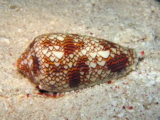 Conus Textile
