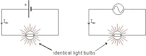 Bulbs