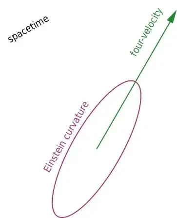 Illustration of curvature and 4-velocity