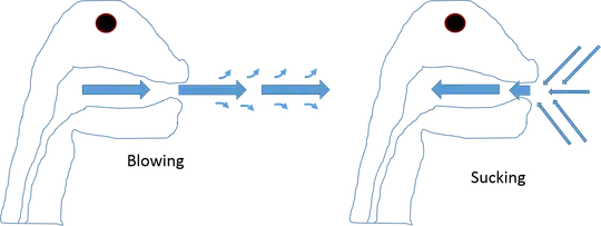 Blowing vs sucking