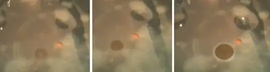 Different vortex shade types made visible by experiment