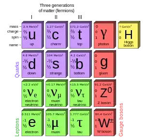 standard model