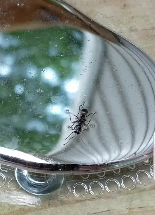 Ants can walk on mercury