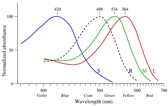 Graph derived by Bowmaker & Dartnall (1980)