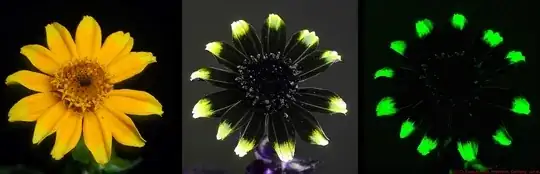 yellow flower compared with version showing UV patterns