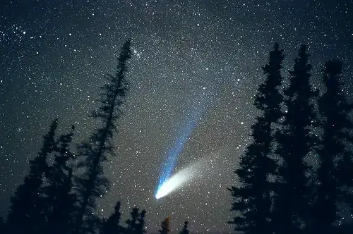 comet showing a gas and a dust tail