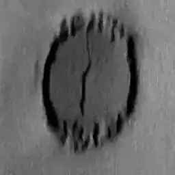 Liquid drop spreading on paper via wicking and wetting