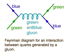 gluon
