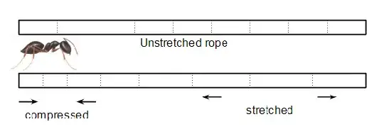 Ant on rope