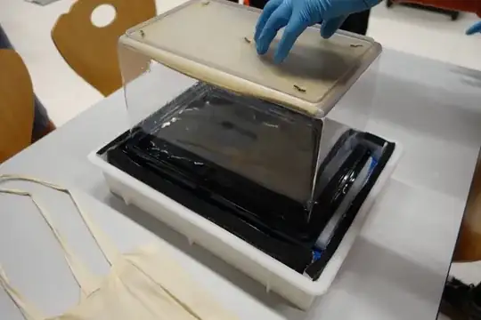 Cloud Chamber at CERN S'Cool LAB
