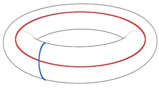 Toric Code Torus courtesy of James Wooton from Wikipedia