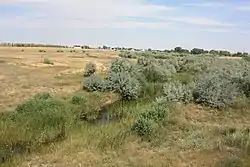 River Domarovka, and village of same name, Dombarovsky District