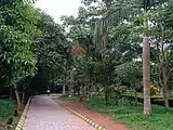 An Alley at Kadri Park in Mangalore - 2