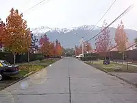 Typical middle-class neighbourhood