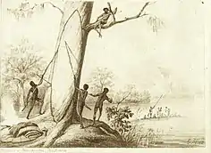 Canoe making by Gustav Mützel