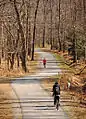 Cyclists and joggers on the greenway