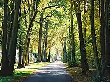 Domaine du Lys-Chantilly, Grande Avenue