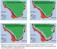 Estimated effects of sea level rise on the species composition and distribution of Florida's mangroves by 2100 under low, moderate, and severe scenarios.