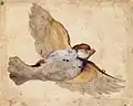 Flying Sparrow