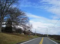 Houses along Gold Mine Road, the only settled portion of the township