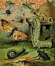 One of the illustrations for F. A. S. Reid's Comic Insects, 1882