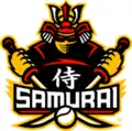 Second team logo (2005)