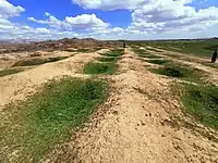 Jarmo, March 2021. Remains of the 1948-1955 excavations conducted by the Oriental Institute of the University of Chicago