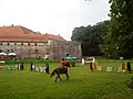 Equestrian event at the Castle