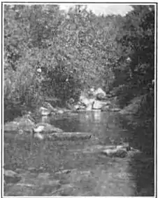 Laurel Run, c. late 1800s or early 1900s
