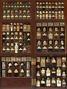 Threipland's medicine chest fully opened showing all compartments