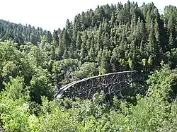 A broken trackless trestle rises up and over the green treetops of a small mountain canyon.