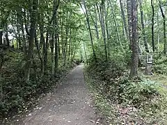 N = Northampton 49 miles (79 km) marker. The opposite side will read B 55. Rutland