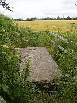 Ballyboodan Ogham Stone inscribed "Here lies Corbmac ó Cuinn".