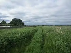 Landscape in Palkinsky District