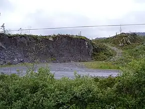 Quarry beside R548 - Garrynapeaka Townland - geograph.org.uk - 2446729.jpg