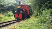 1949 Bord na Móna locomotive at the Stradbally Woodland Railway