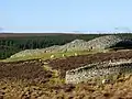 The Grey Cairns of Camster. These cairns are open to the public.