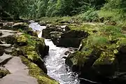 The Strid near Bolton Abbey54°0′15.18″N 1°54′13.3″W / 54.0042167°N 1.903694°W / 54.0042167; -1.903694