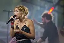 Cats on Trees in 14th of July 2015's national holiday concert in Toulouse, France