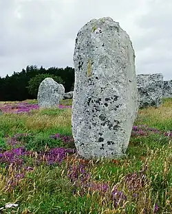 A menhir in Kermario, Karnag / Carnac