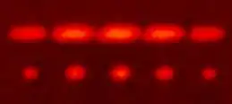 Red light diffracted by two slits (top) and by five slits (bottom)
