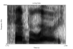 Spectrogram 3